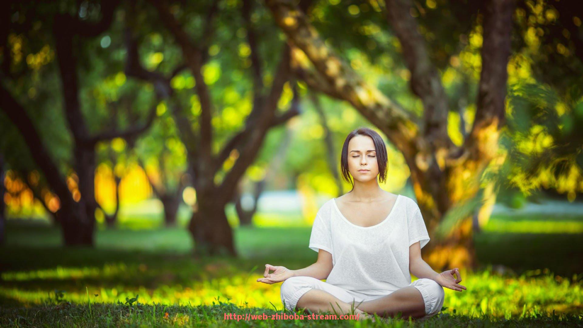 直播吧-英超冠军最多的教练是谁？他们的执教风格有何独特之处？（英超执教最长的教练）